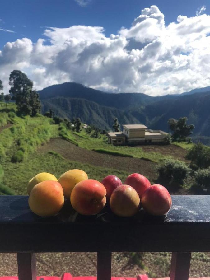 Green View Resort New Tehri 외부 사진